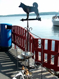 vääksy2