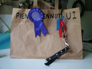 winner