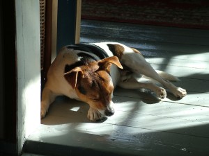 otto2