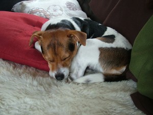 otto3